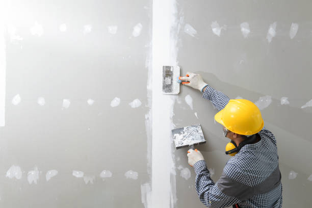 Best Mold Damage Restoration  in Massillon, OH