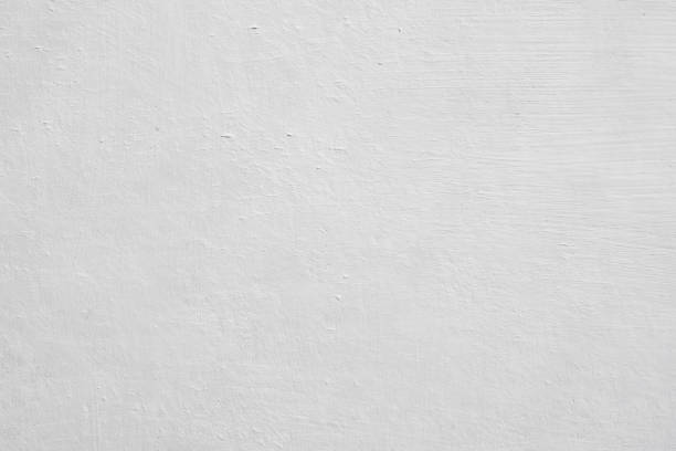 Best Mold Remediation for Healthcare Facilities  in Massillon, OH